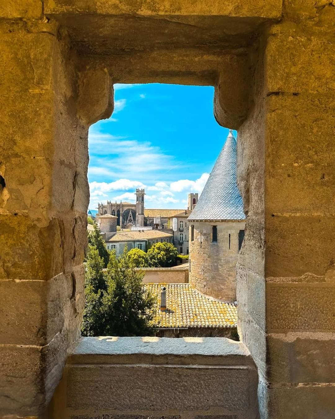 Un Dans La Cite * Carcassonne